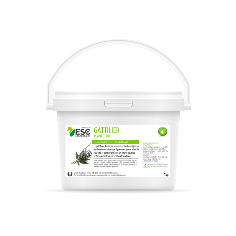 GATILLIER ESC
