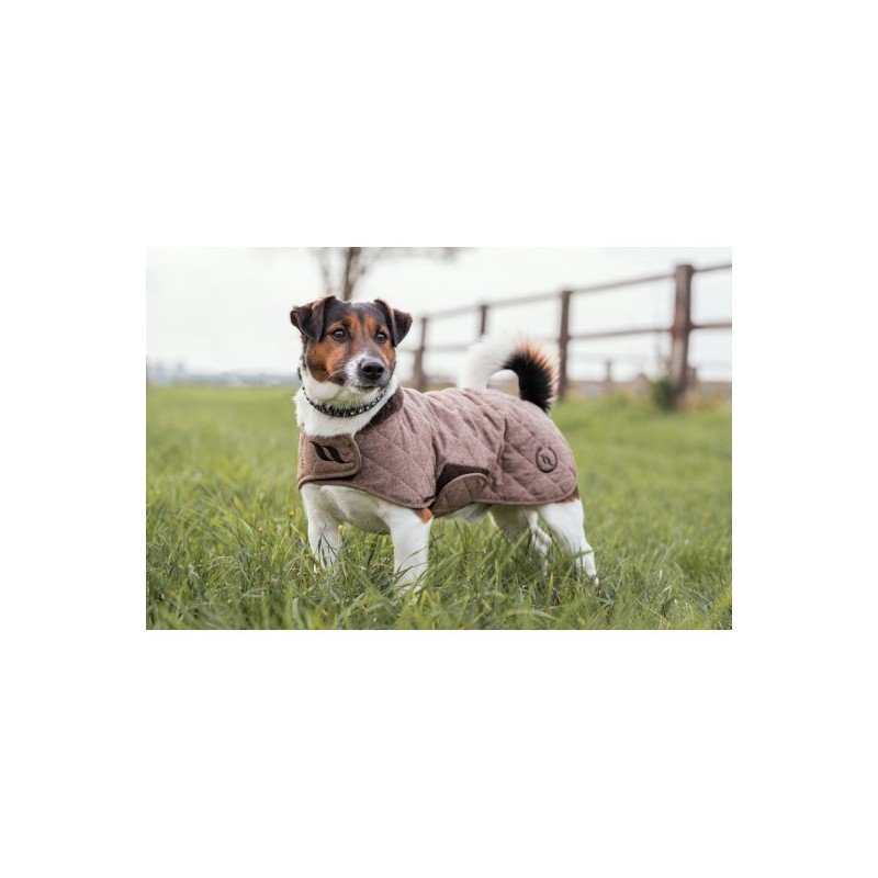 MANTEAU CHIEN BACK ON TRACK HAZE