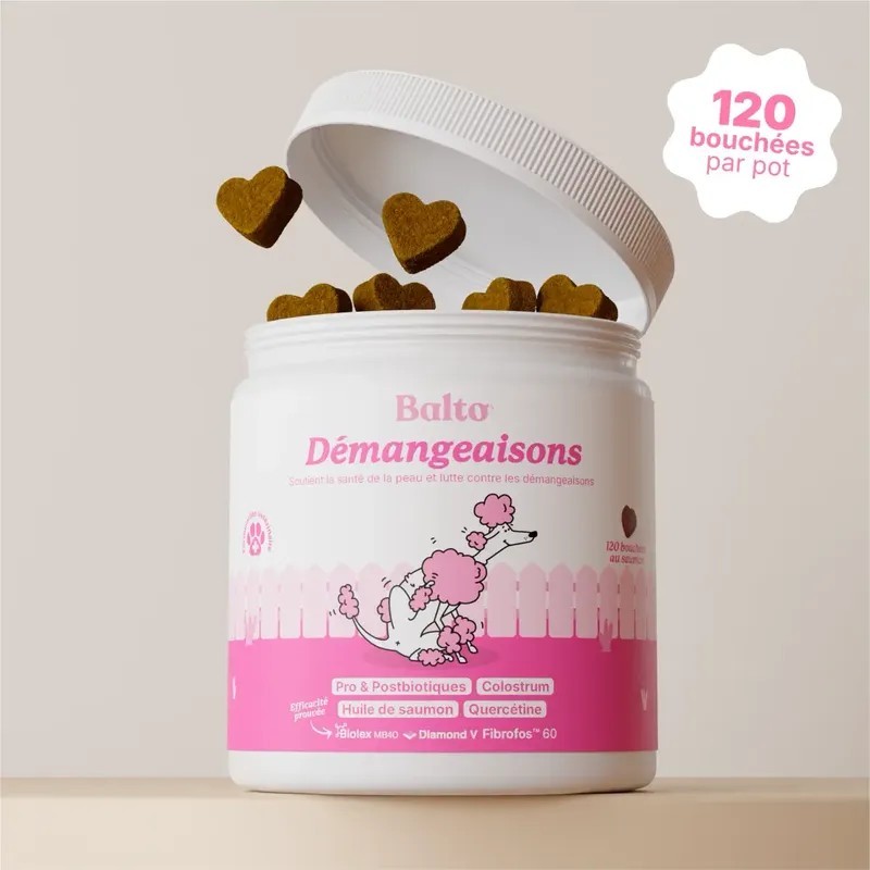 BALTO DÉMANGEAISONS