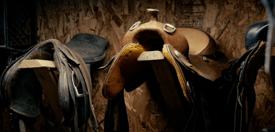 Cheval