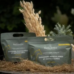 CATAPLASME D'ARGILE DOULEURS MUSCULAIRES ET ARTICULAIRES NELLUMBO
