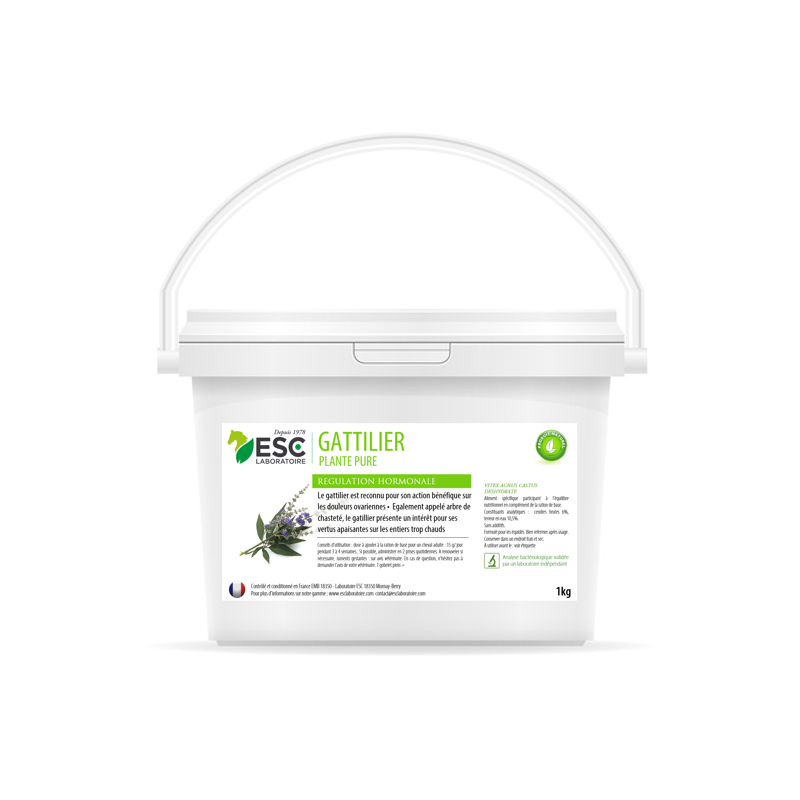 GATILLIER ESC