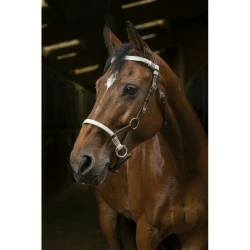 SIDE PULL NORTON PRO TRESSE