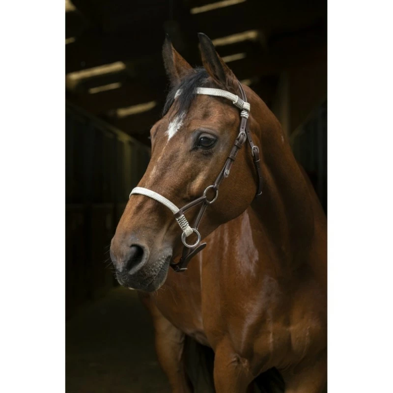 SIDE PULL NORTON PRO TRESSE