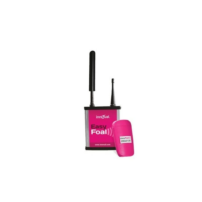LOCATION EASYFOAL INDOOR