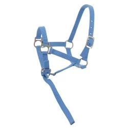 LICOL FOAL AVEC LONGETTE NORTON