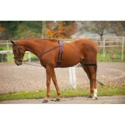 ENRENEMENT A POULIES NORTON NOIR