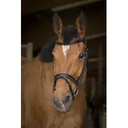 BRIDON NORTON PRO ROCK