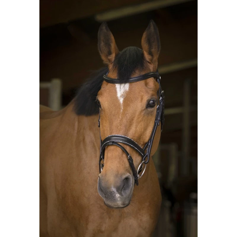 BRIDON NORTON PRO ROCK