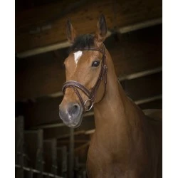 BRIDON NORTON PRO ROCK