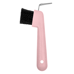 CURE PIED AVEC BROSSE WALDHAUSEN