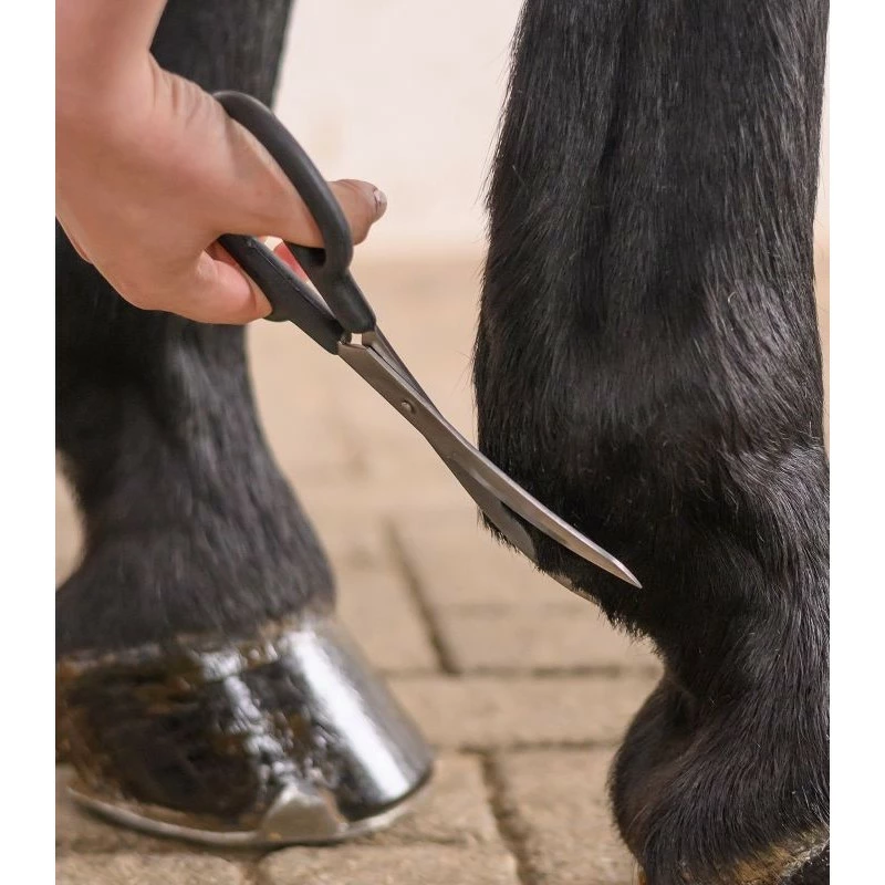 CISEAUX COURBÉS WALDHAUSEN