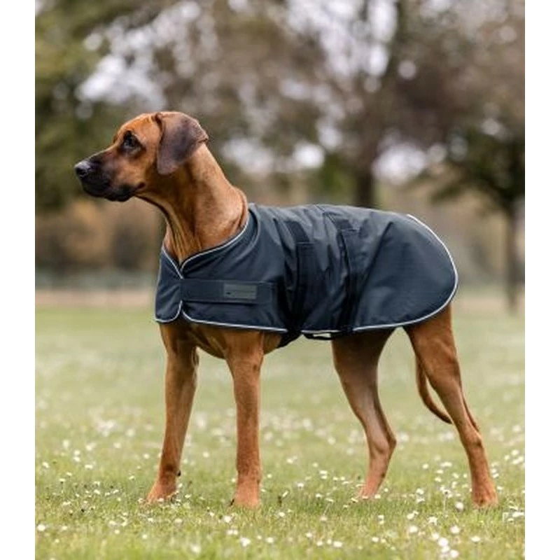 COUVERTURE IMPERMEABLE POUR CHIEN WALDHAUSEN