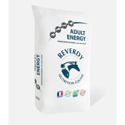 GRANULES ADULT ENERGY REVERDY