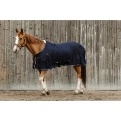 CHEMISE SECHANTE EQUITHEME MICRO MESH