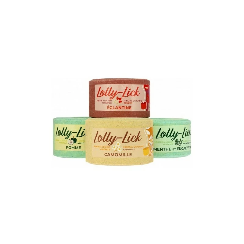 PIERRE A SEL HIPPOTONIC LOLLY-LICK