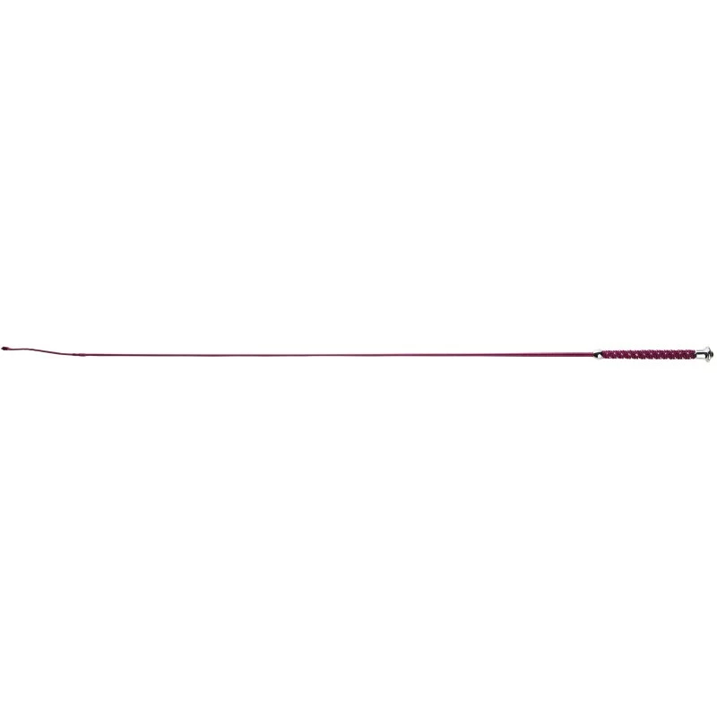 STICK DRESSAGE WHIP & GO POINTS