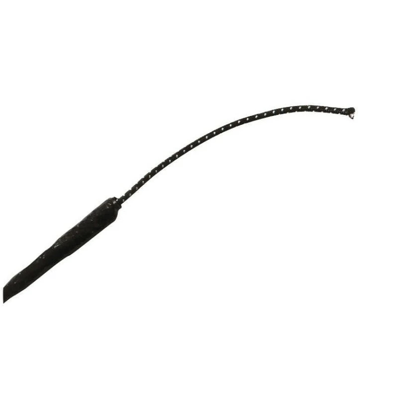 STICK DE DRESSAGE WHIP & GO