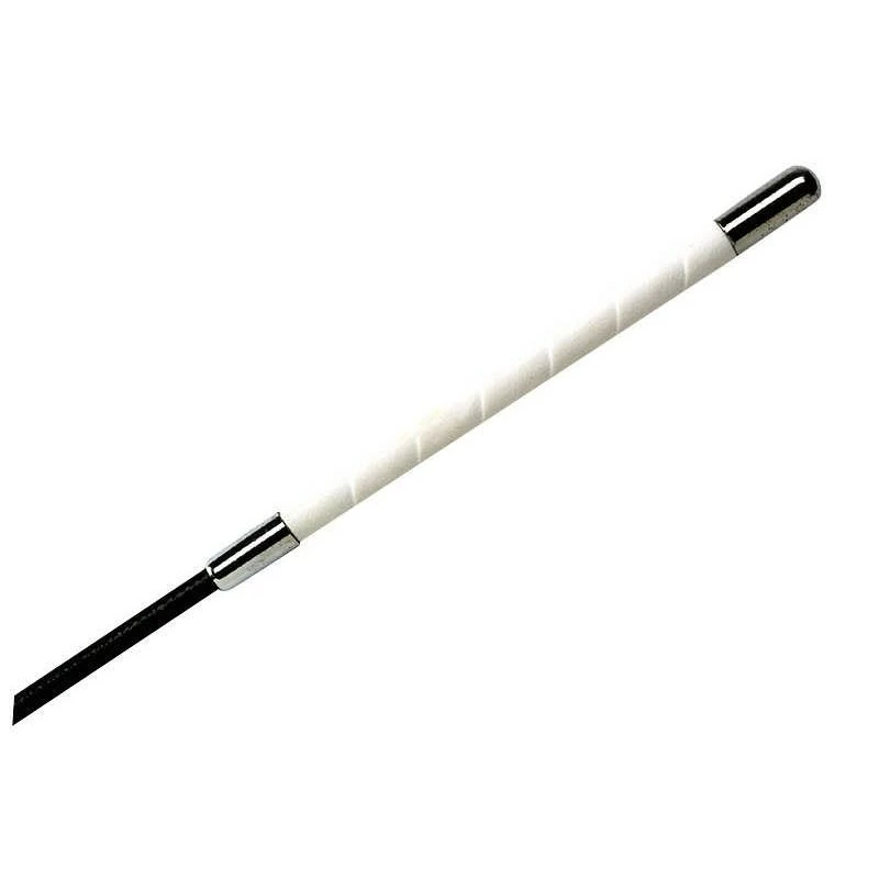 STICK DE DRESSAGE WHIP & GO