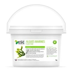 ALGUES MARINES ESC 1KG