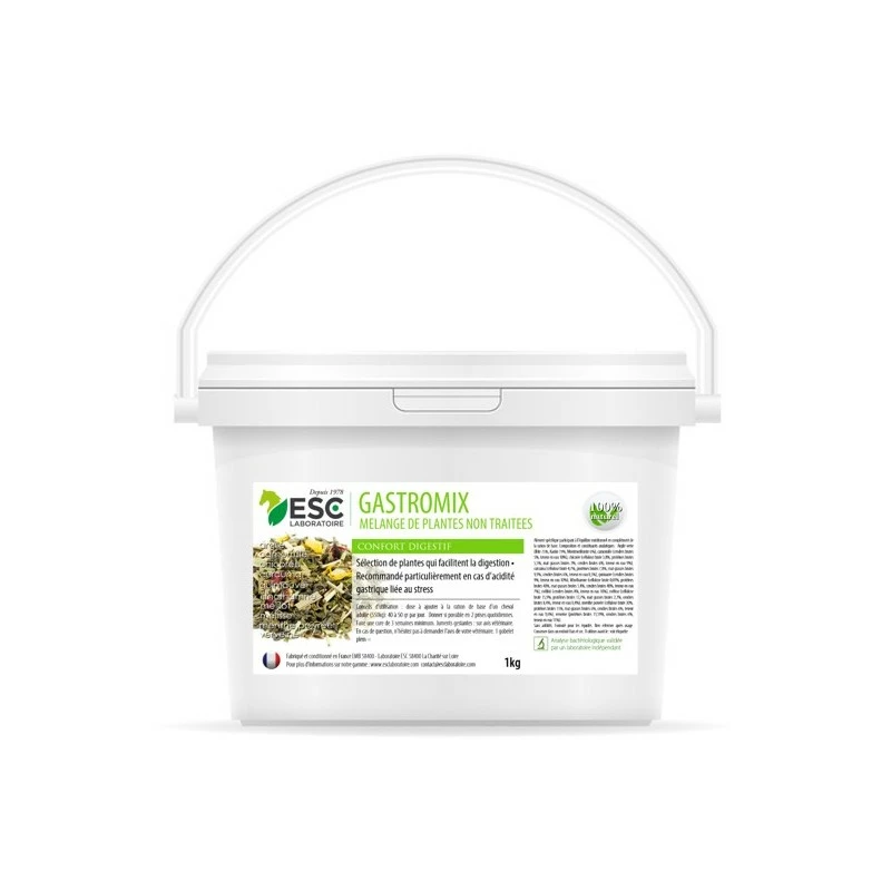 GASTROMIX ESC 1KG