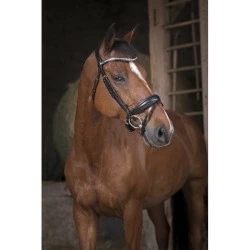 BRIDON NORTON PRO STRASS NOIR