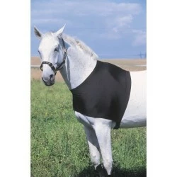 PROTECTION EPAULES ELASTIQUE EQUITHEME