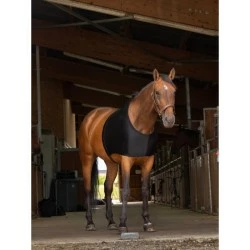 PROTECTION EPAULES ELASTIQUE EQUITHEME