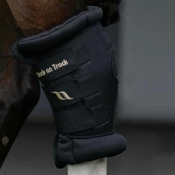 PROTEGE JARRETS BACK ON TRACK ROYAL DELUXE