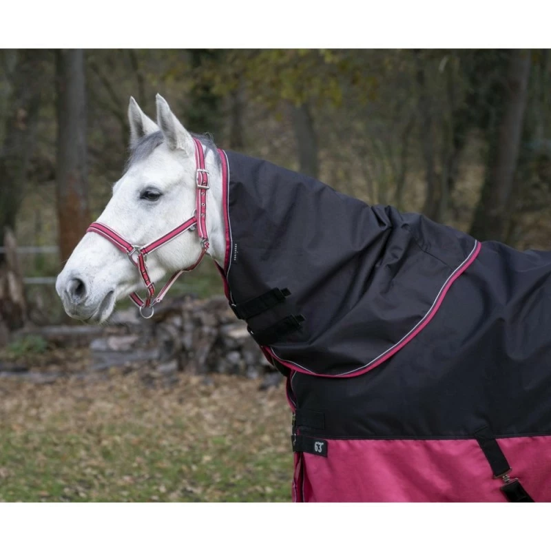 COUVRE COU EQUITHEME TYREX 0G
