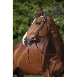 BRIDON RIDING WORLD MUSEROLLE FRANCAISE