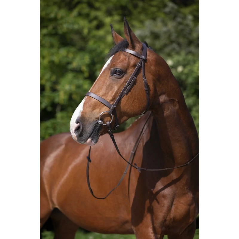 BRIDON RIDING WORLD MUSEROLLE FRANCAISE