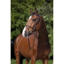 BRIDON RIDING WORLD MUSEROLLE COMBINEE