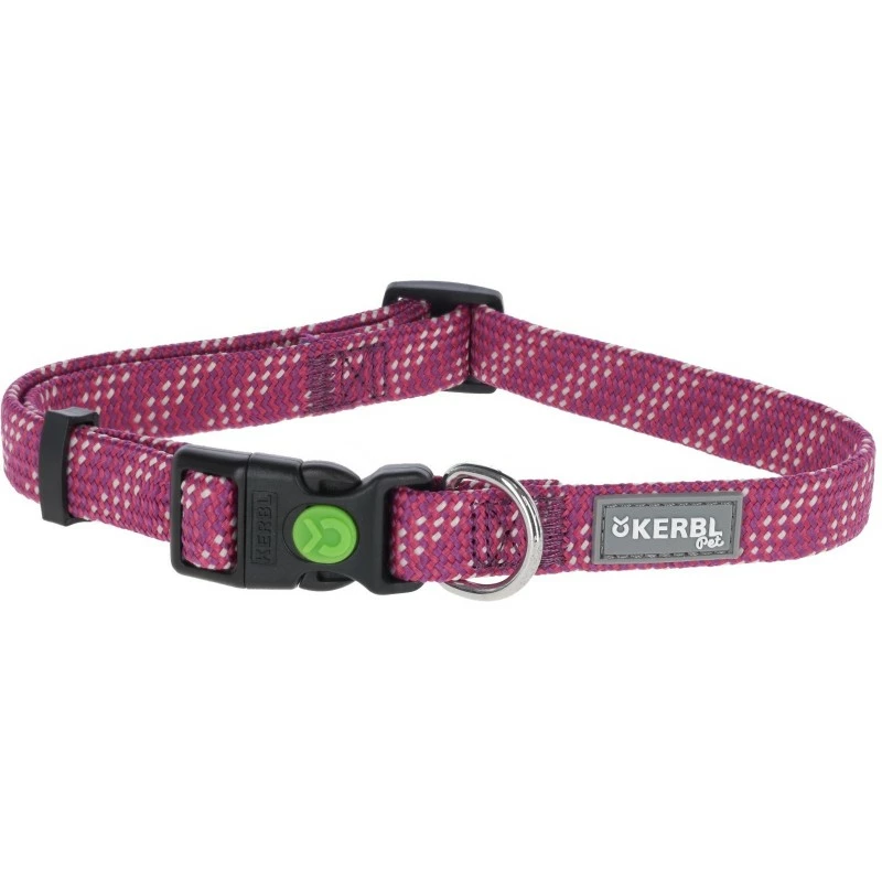 COLLIER POUR CHIEN COLORADO