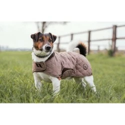 MANTEAU CHIEN BACK ON TRACK HAZE