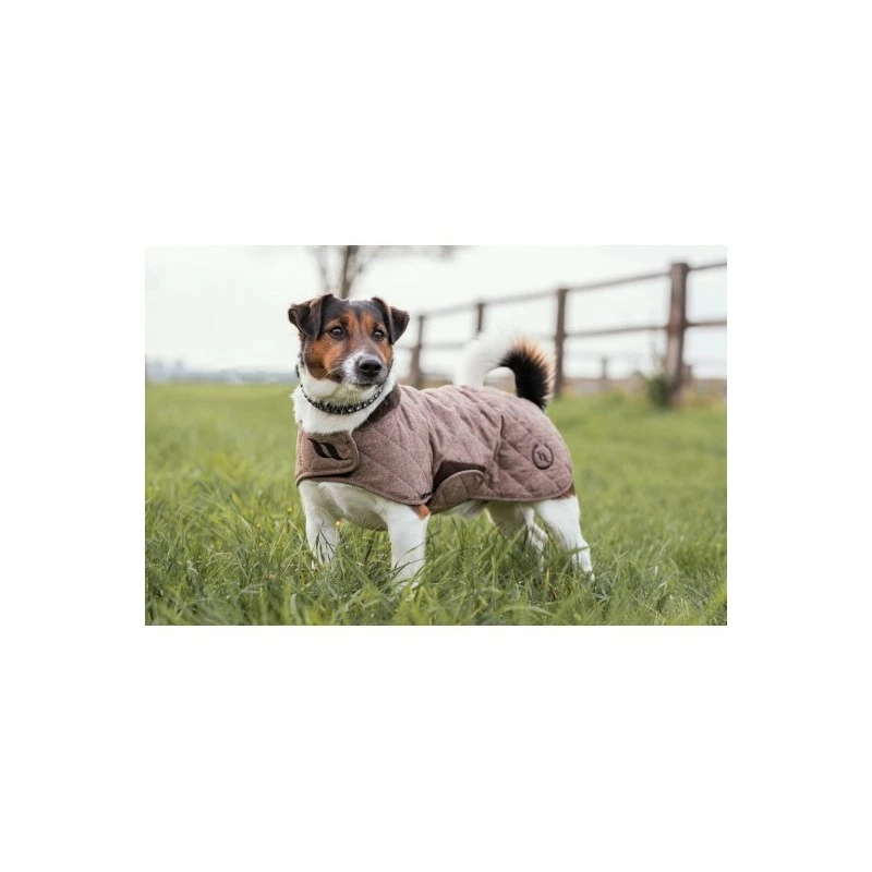 MANTEAU CHIEN BACK ON TRACK HAZE