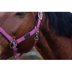 LICOL NYLON SPRING EQUITHEME