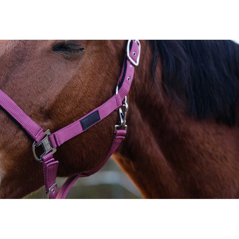 LICOL NYLON SPRING EQUITHEME