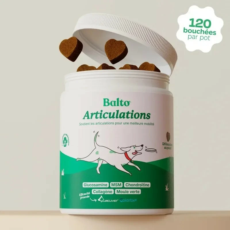 BALTO ARTICULATION
