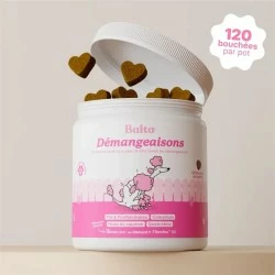 BALTO DÉMANGEAISONS