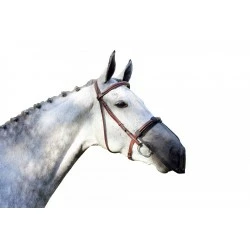 ANTIFLY NOSE PROTECT QHP CHEVAL