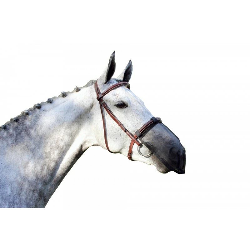 ANTIFLY NOSE PROTECT QHP CHEVAL