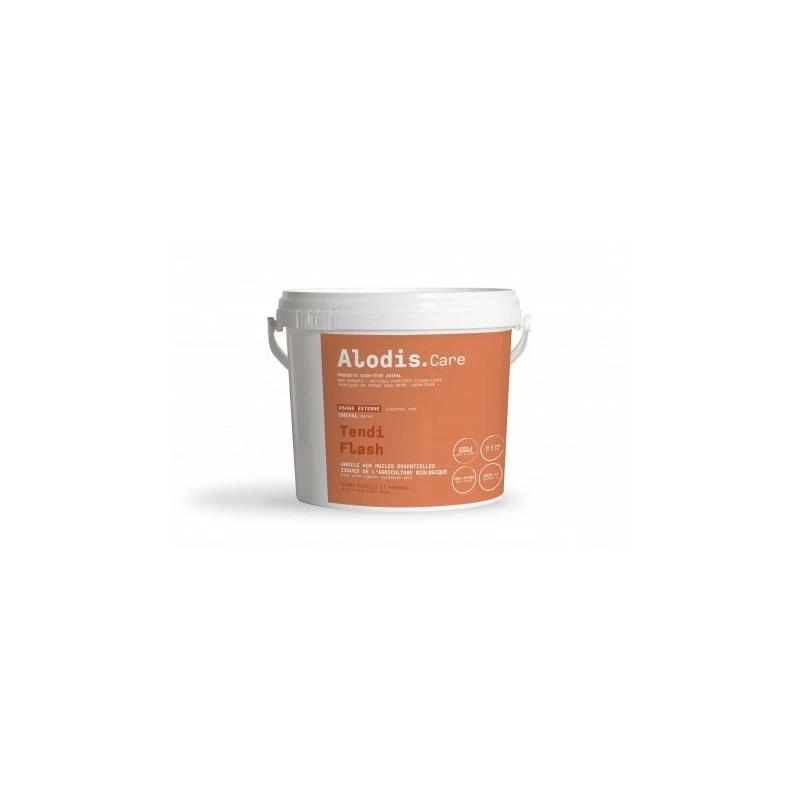 TENDI FLASH ALODIS CARE