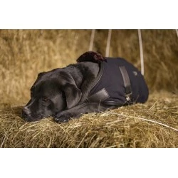 COUVERTURE NYLON CHIEN TEDDY DIEGO & LOUNA