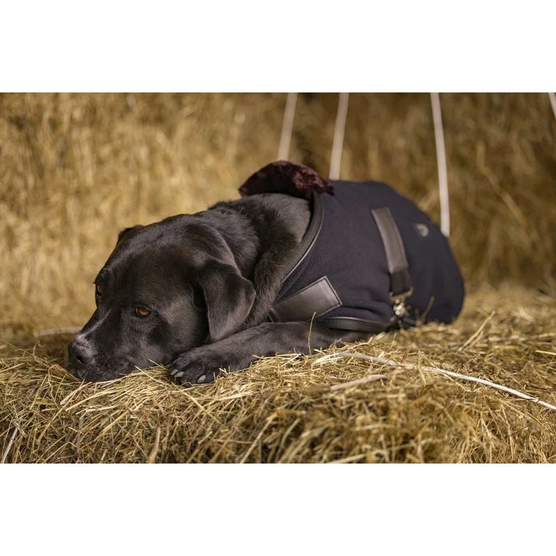 COUVERTURE NYLON CHIEN TEDDY DIEGO & LOUNA