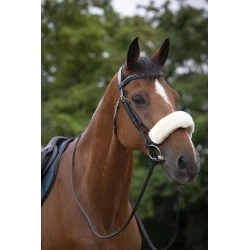 FOURREAU DE MUSEROLLE EQUITHEME TEDDY FS ECRU