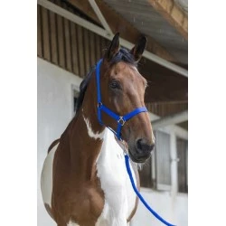 ENSEMBLE LICOL + LONGE RIDING WORLD CLUB