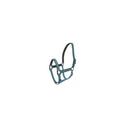 LICOL LAMI CELL CHARMING
