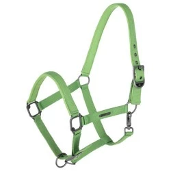 LICOL COVALLIERO P/E25