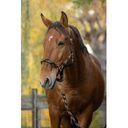 ENSEMBLE LICOL + LONGE EQUITHEME TRESSE